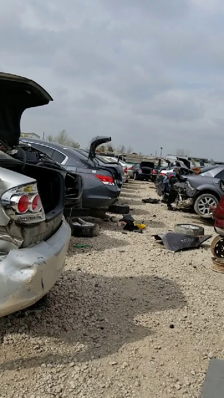 Auto recycling yard with various damaged vehicles.