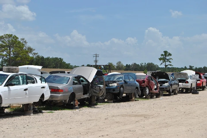 Row of used cars at an auto recycling yard.