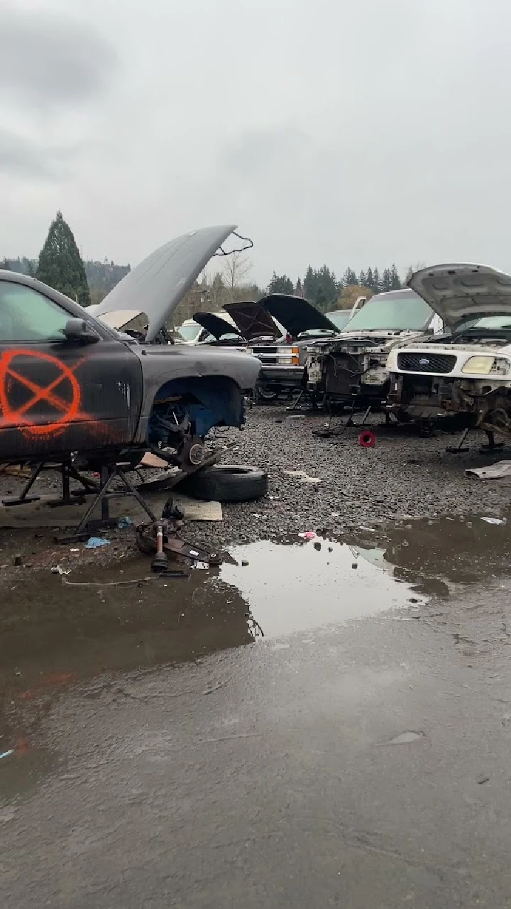 Abandoned cars in a junkyard with open hoods.