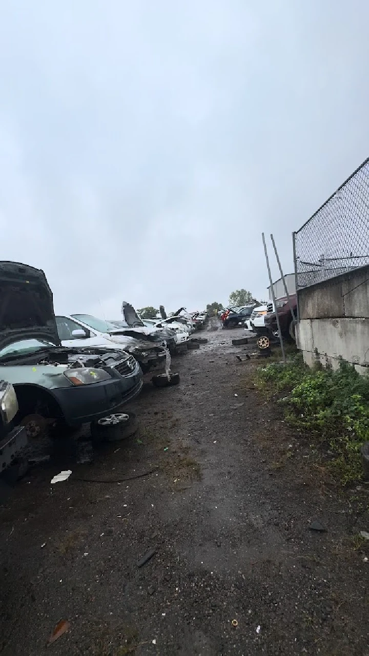 Abandoned cars in a salvage yard on a rainy day.