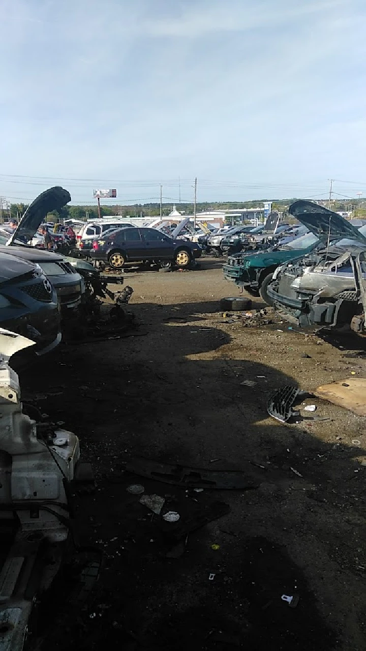 Auto salvage yard with various cars and parts.