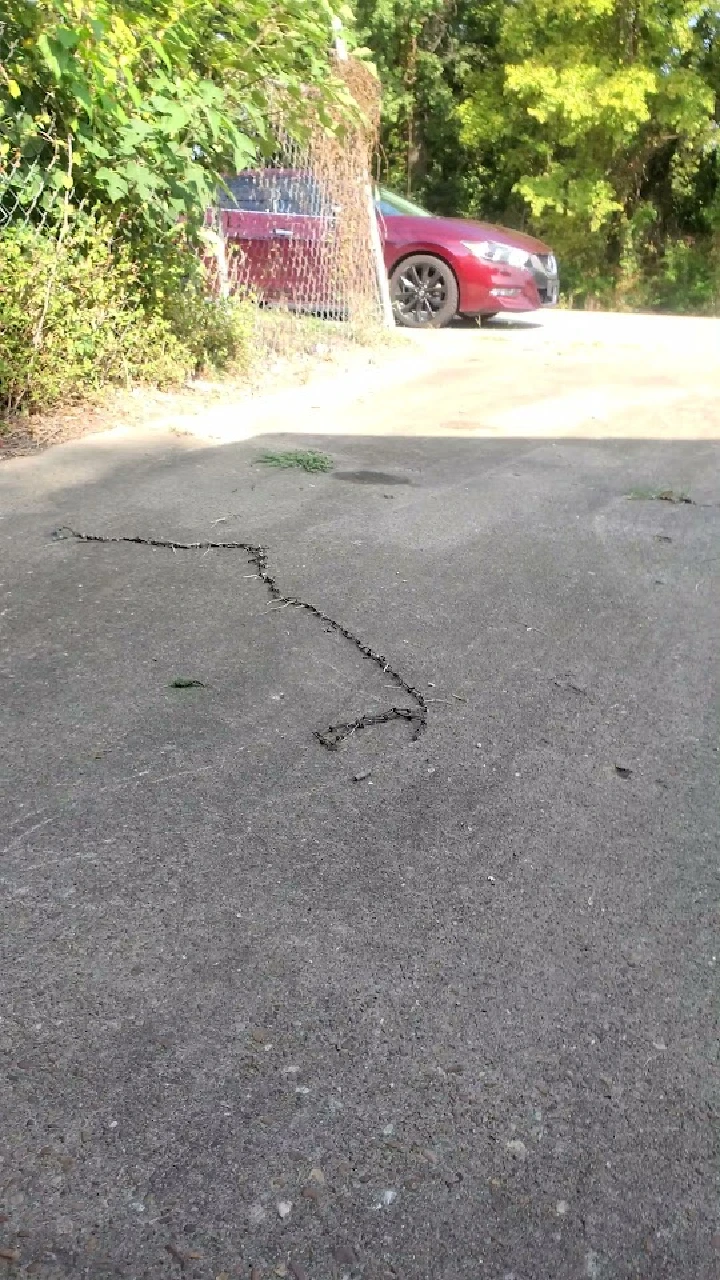 Cracked pavement with a chain pattern and greenery.