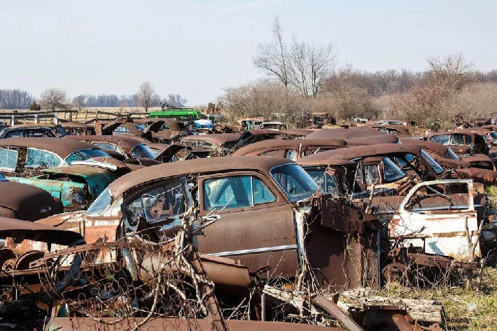 Abandoned cars in a junkyard landscape.