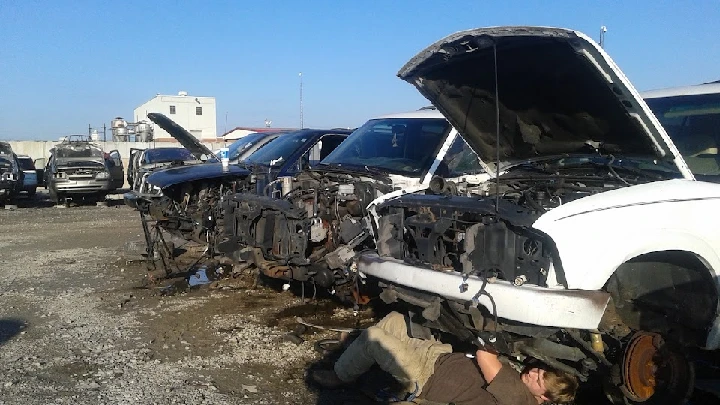 Auto recycling yard with dismantled vehicles.