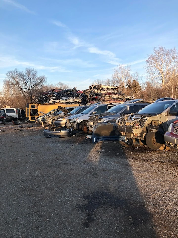 Auto salvage yard with rows of discarded cars.