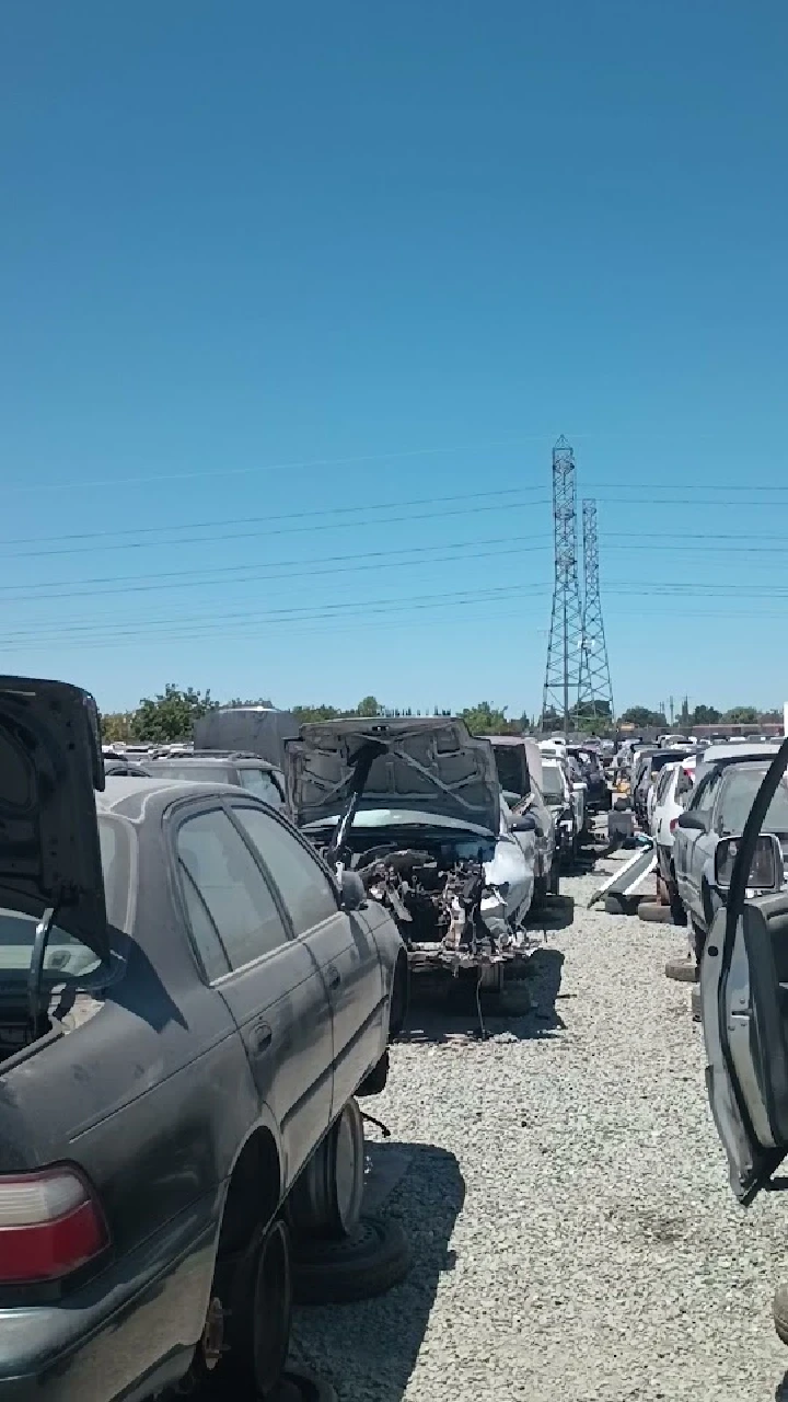 Junkyard filled with discarded vehicles under blue sky.