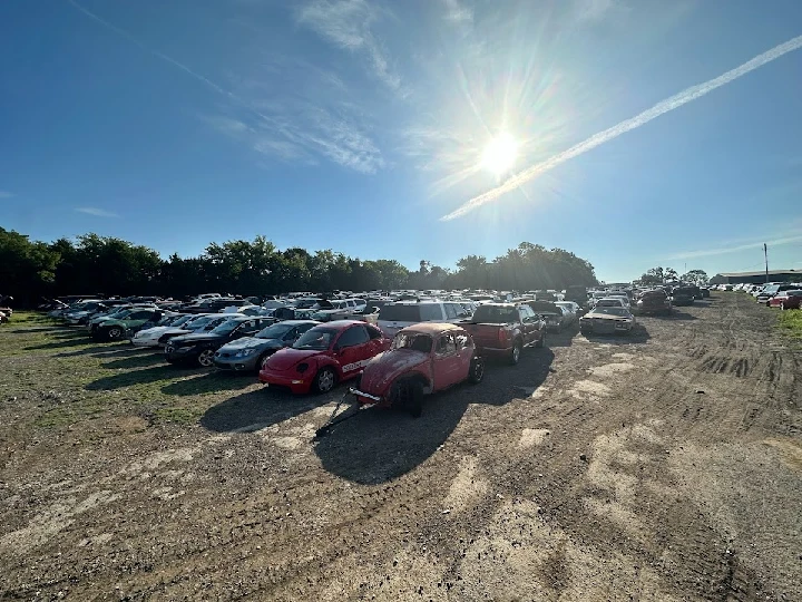 Junkyard scene with rows of cars in sunlight.