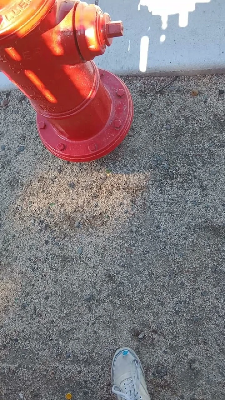 Red fire hydrant beside sandy ground and a shoe.