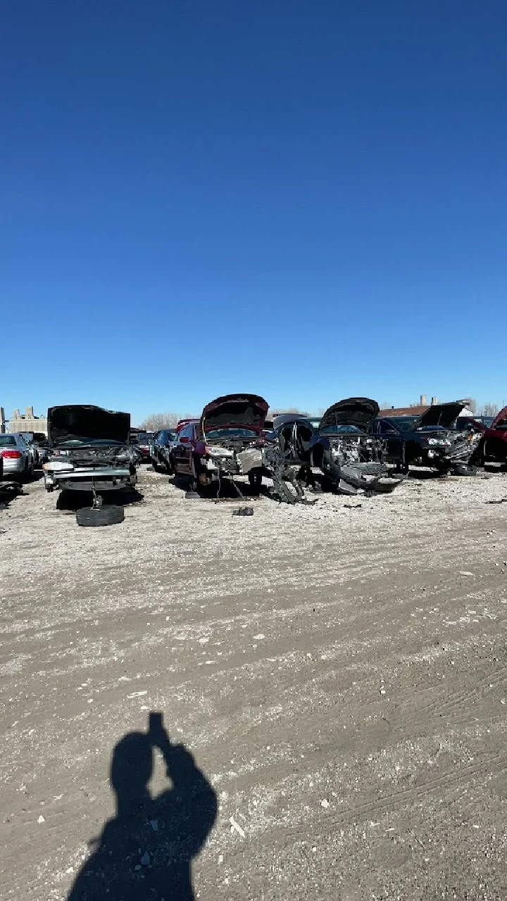 Row of junk cars under a clear blue sky.