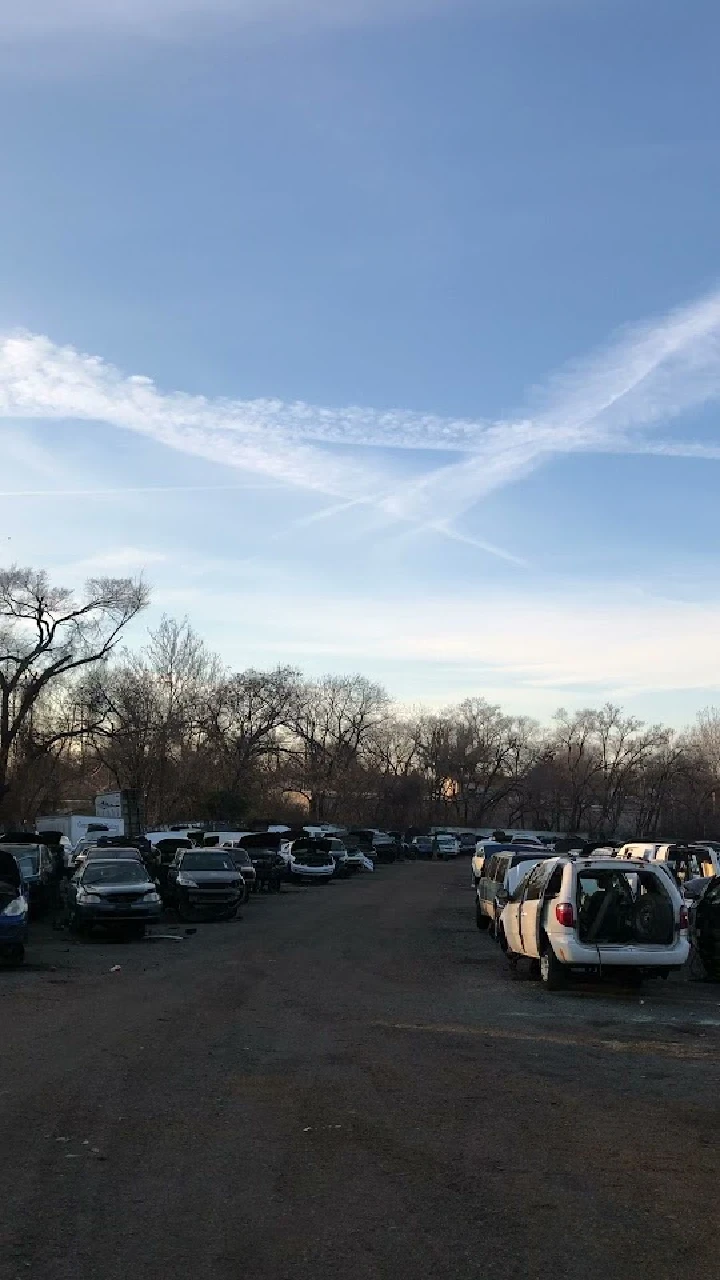 Row of vehicles in an auto salvage yard.