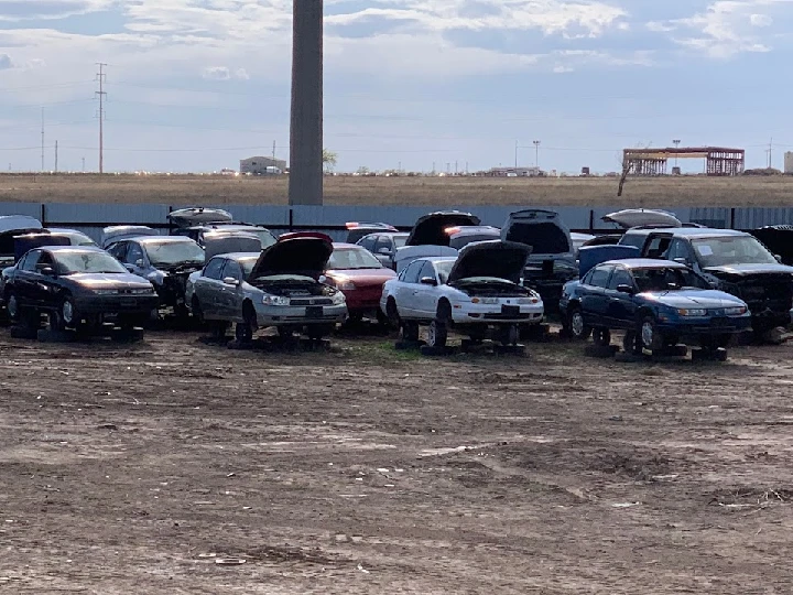 Rows of cars with open hoods at a salvage yard.