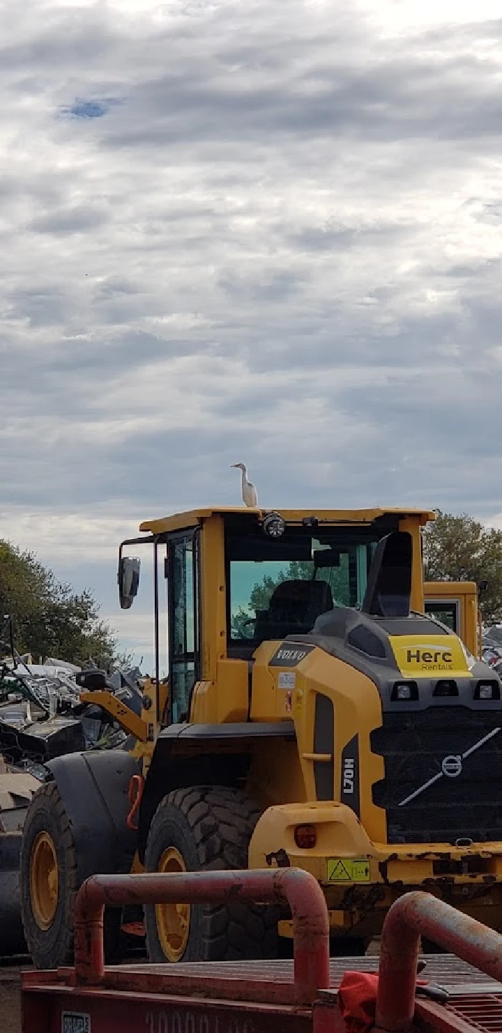 Yellow loader with a bird perched on top.