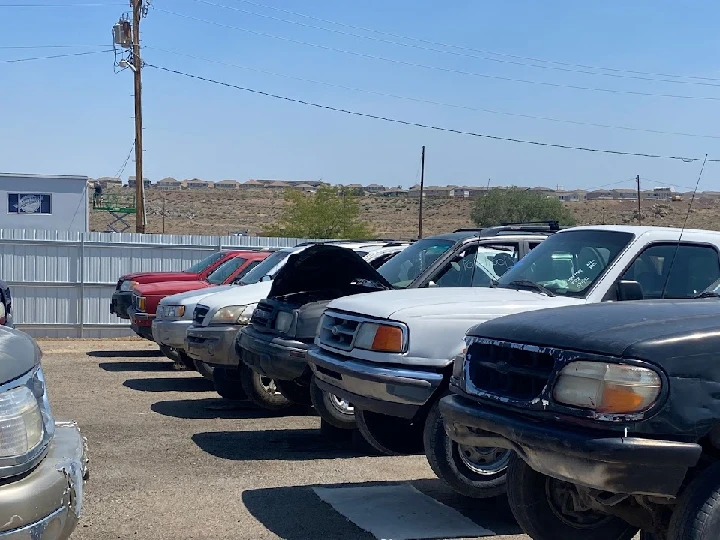 Row of used cars at Planet Auto Self Serve yard.