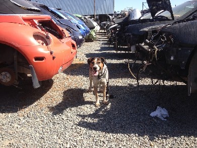 Dave´s Auto Parts Wrecking San Diego