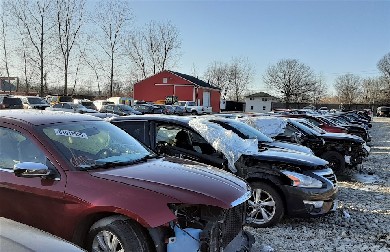 Premier Auto & Parts in Elyria