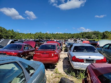 Pick-n-Pull in Tallahassee