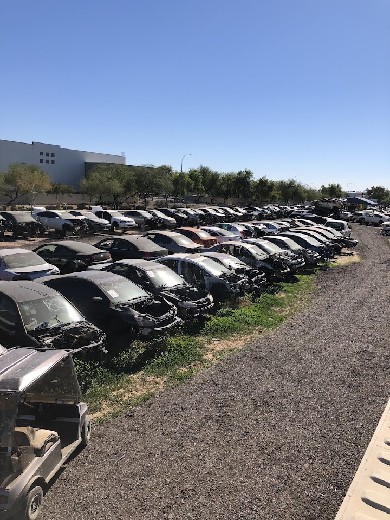 Automaster Salvage Yard in Glendale